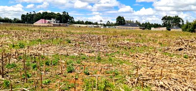 Affordable 2 Acres Land For Sale In Kapseret Eldoret - Image 5