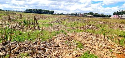 Affordable 2 Acres Land For Sale In Kapseret Eldoret - Image 4