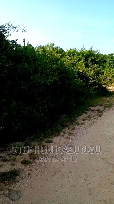 2 Acres in Galu Kinondo Beach on 2nd Beach Row - Image 6