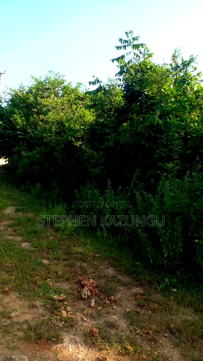2 Acres in Galu Kinondo Beach on 2nd Beach Row - Image 9