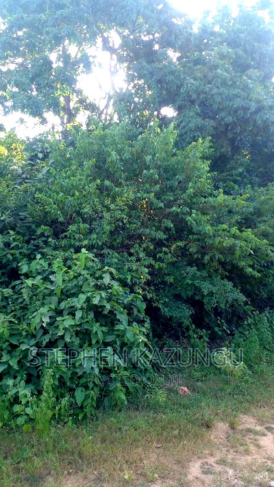 2 Acres in Galu Kinondo Beach on 2nd Beach Row - Image 7