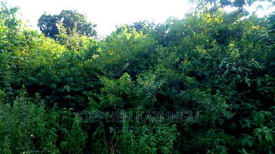 2 Acres in Galu Kinondo Beach on 2nd Beach Row - Image 3