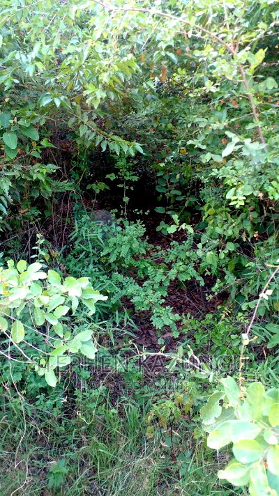2 Acres in Galu Kinondo Beach on 2nd Beach Row - Image 8