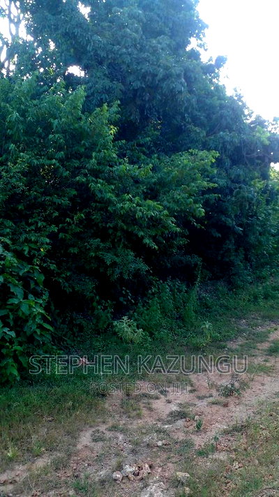 2 Acres in Galu Kinondo Beach on 2nd Beach Row - Image 5