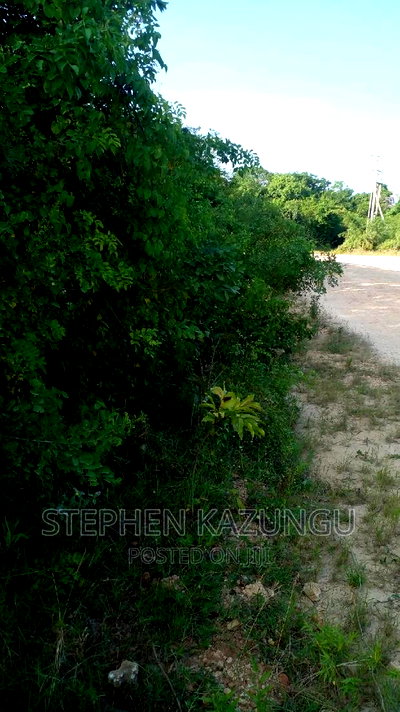 2 Acres in Galu Kinondo Beach on 2nd Beach Row - Image 2