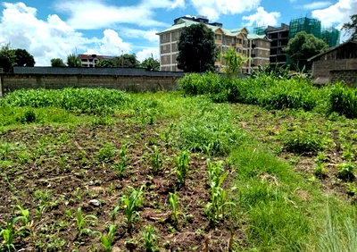Quarter Acre Plot at KSh 50M