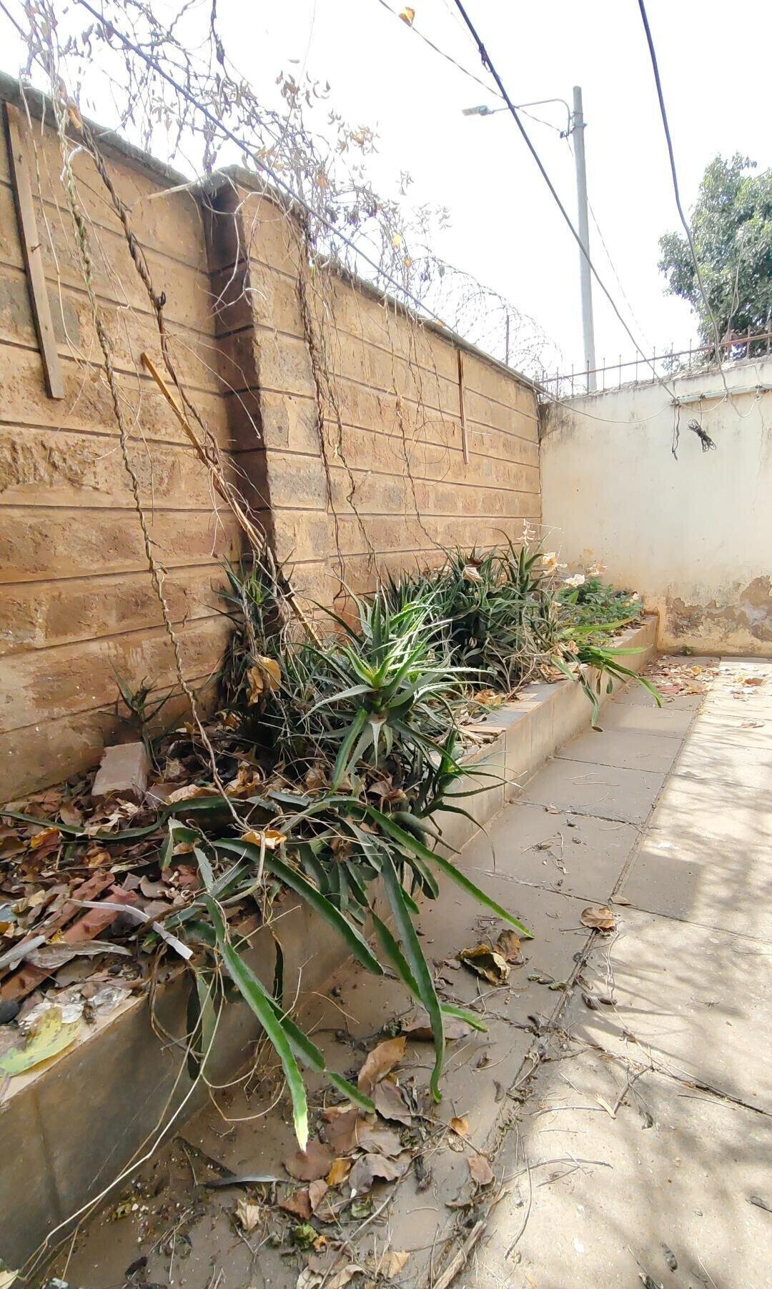 4BR Townhouse with DSQ & Private Backyard - Five Star South C