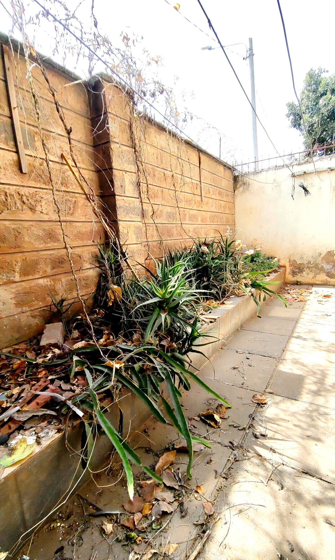 4BR Townhouse with DSQ & Private Backyard - Five Star South C