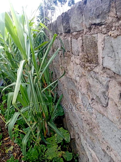 A High Value Land for Sale in the Great Kiambu County. - Image 3