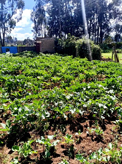 A High Value Land for Sale in the Great Kiambu County. - Image 1