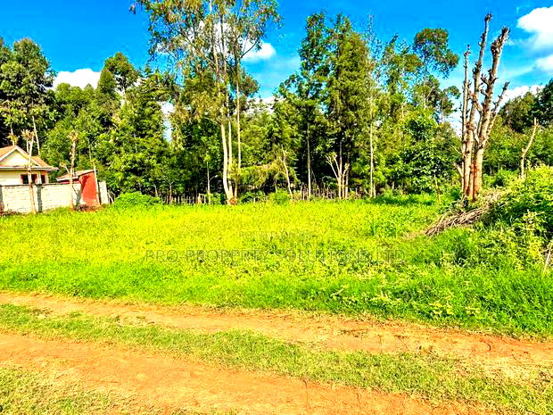 Prime Residential Plot for Sale in Kikuyu, Ondiri.