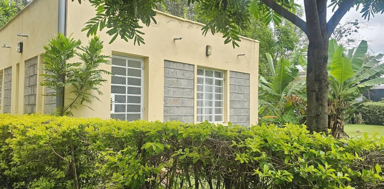 Cozy 1BR Cottage on 1/4 Acre