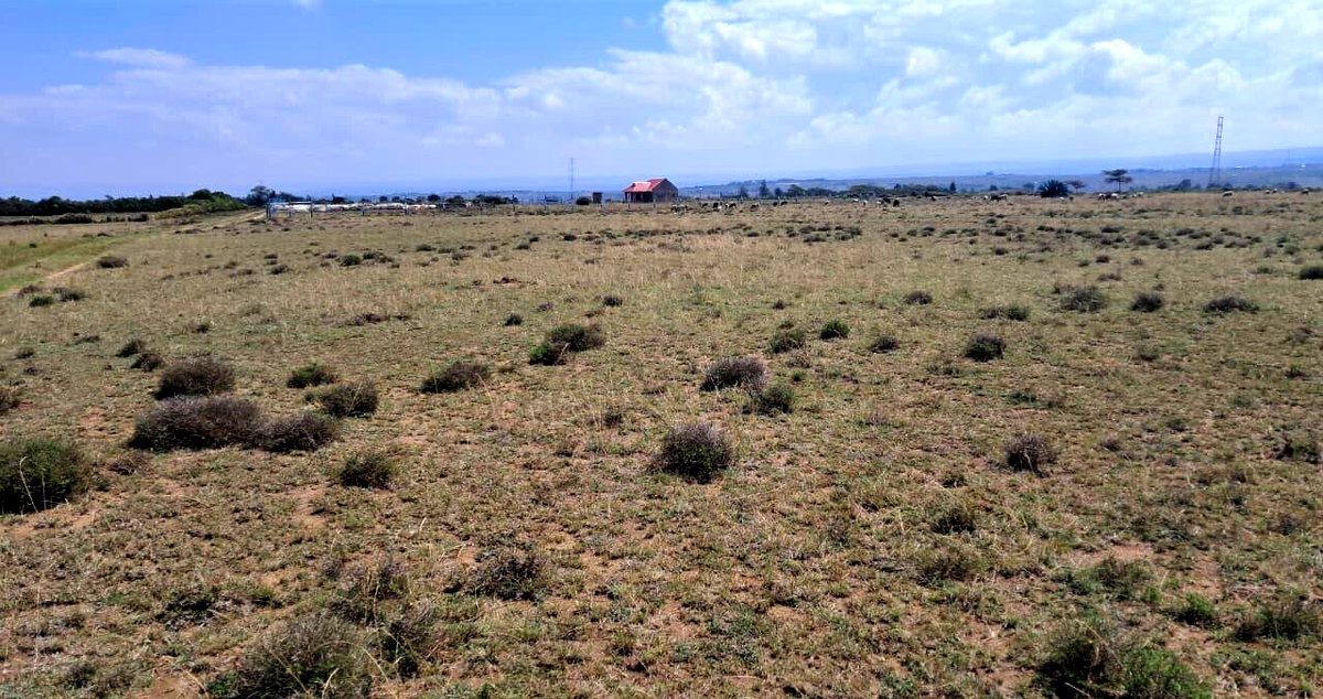 Quarter Acre Garden Plot with Parking