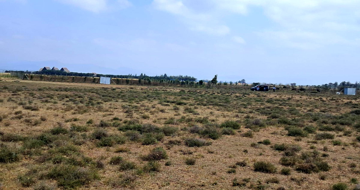 Quarter Acre Garden Plot with Parking