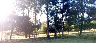 A Very Good Track of Land for Sale. - Image 4