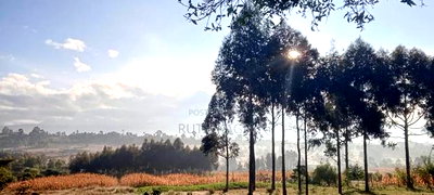 A Very Good Track of Land for Sale. - Image 1