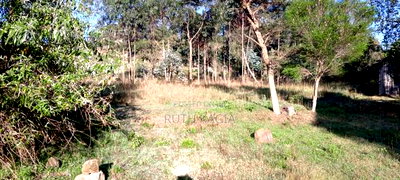 A Very Good Track of Land for Sale. - Image 2
