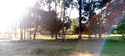 A Very Good Track of Land for Sale. - Image 3