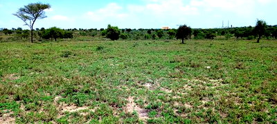 Vacant Plots for Sale in Isinya, Dalalekutuk Area - Image 5