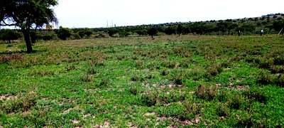 Vacant Plots for Sale in Isinya, Dalalekutuk Area - Image 1
