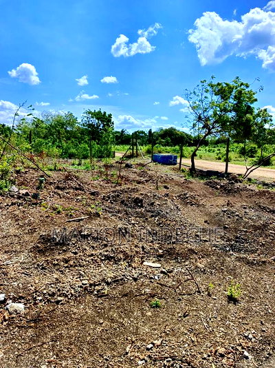 1/8th Acre Prime Plots for Sale in Kilifi Tezo - Image 11