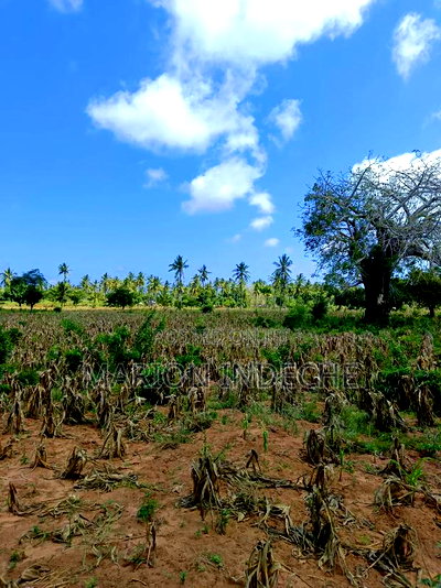 1/8th Acre Prime Plots for Sale in Kilifi Tezo - Image 7