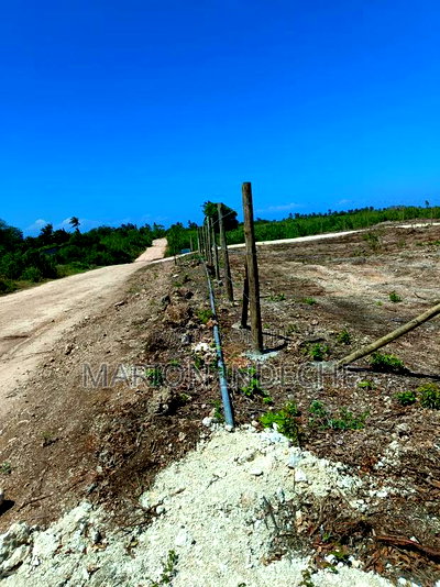 1/8th Acre Prime Plots for Sale in Kilifi Tezo - Image 10