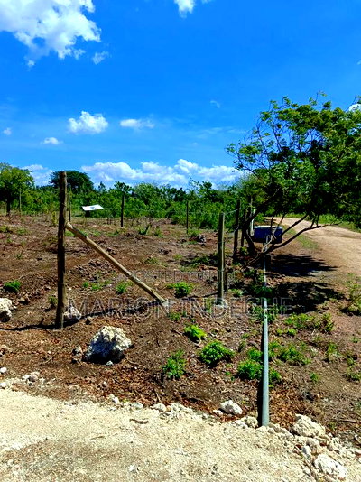 1/8th Acre Prime Plots for Sale in Kilifi Tezo - Image 13