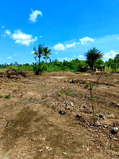 1/8th Acre Prime Plots for Sale in Kilifi Tezo - Image 17