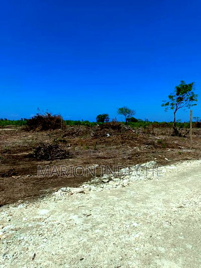 1/8th Acre Prime Plots for Sale in Kilifi Tezo - Image 16