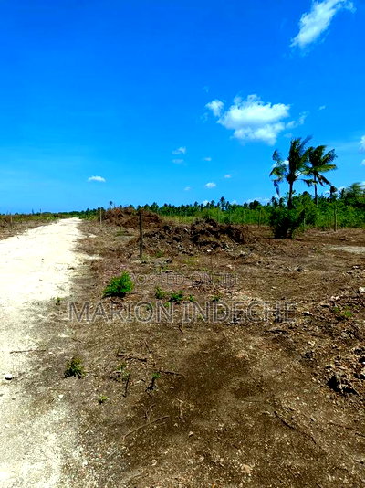 1/8th Acre Prime Plots for Sale in Kilifi Tezo - Image 15