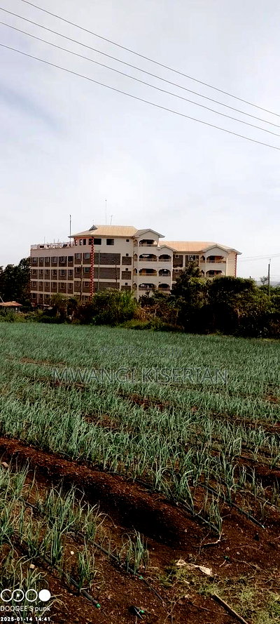Plots for Sale 500mts From Kiserian Town - Image 8