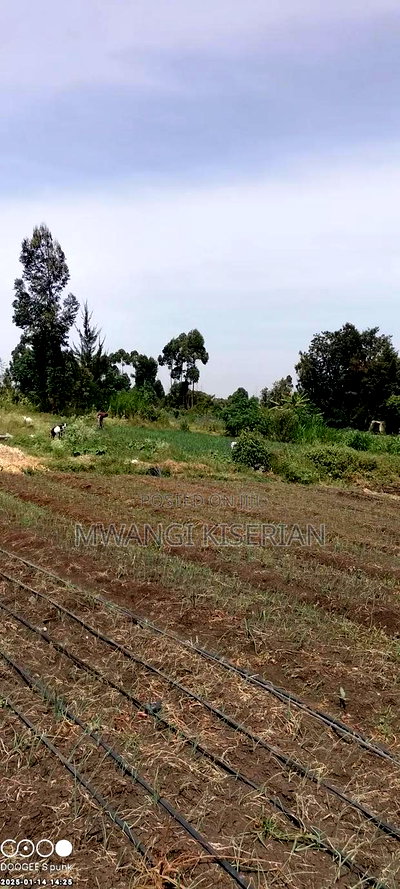 Plots for Sale 500mts From Kiserian Town - Image 3