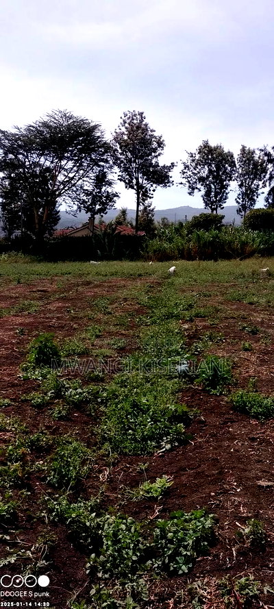 Plots for Sale 500mts From Kiserian Town - Image 5