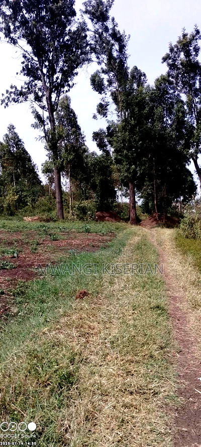 Plots for Sale 500mts From Kiserian Town - Image 6