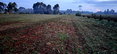 2 Acres Arable Land For Sale Kiplombe Kaptebengwet Eldoret - Image 1