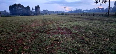 2 Acres Arable Land For Sale Kiplombe Kaptebengwet Eldoret - Image 2