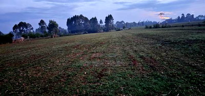 2 Acres Arable Land For Sale Kiplombe Kaptebengwet Eldoret - Image 4