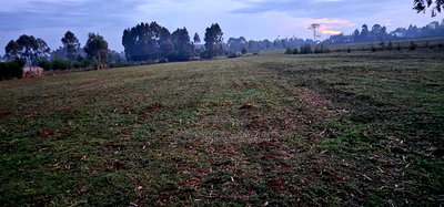 2 Acres Arable Land For Sale Kiplombe Kaptebengwet Eldoret - Image 3