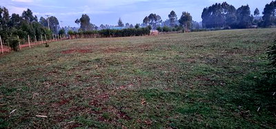 2 Acres Arable Land For Sale Kiplombe Kaptebengwet Eldoret - Image 5