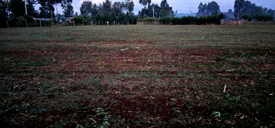 2 Acres Arable Land For Sale Kiplombe Kaptebengwet Eldoret - Image 6