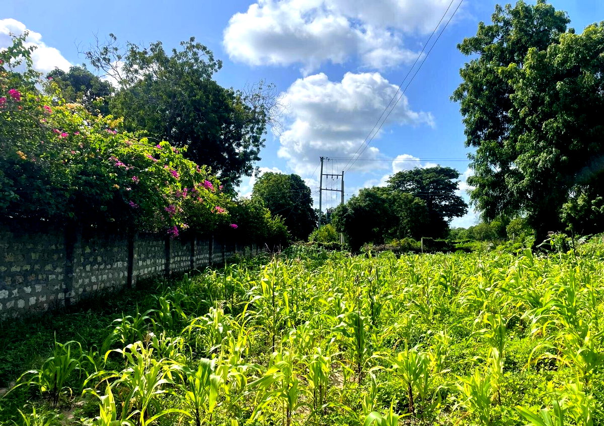 1-Acre Plot with Farmhouse at KSh 8M