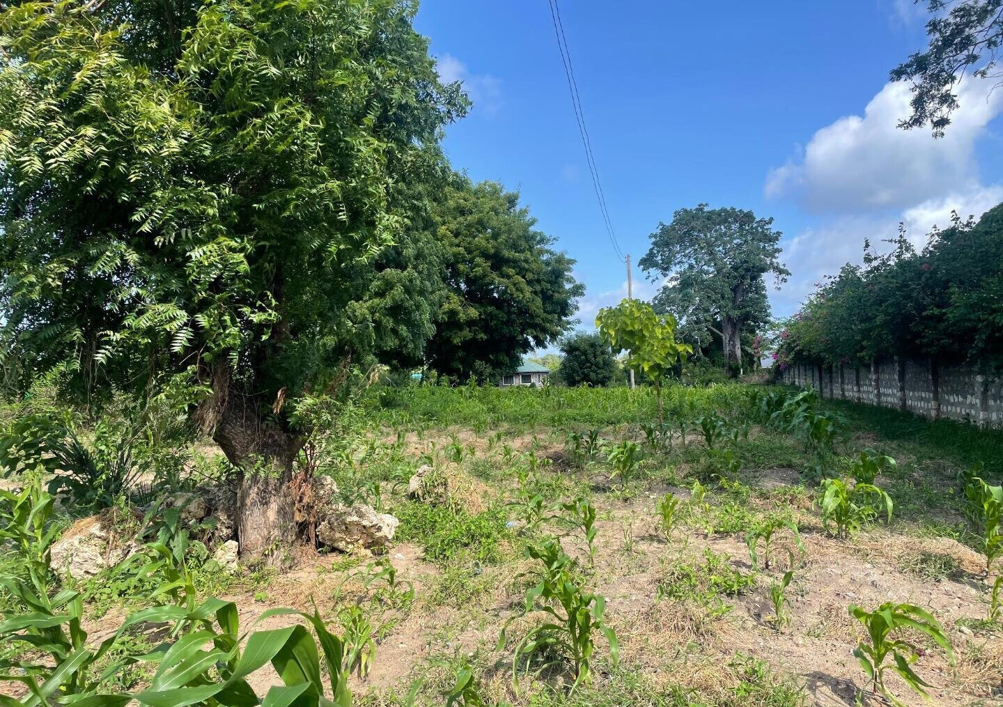 1-Acre Plot with Farmhouse at KSh 8M