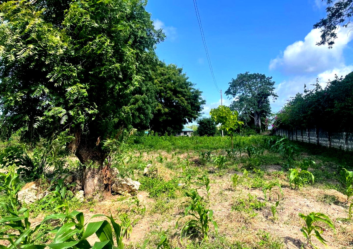 1-Acre Plot with Farmhouse at KSh 8M