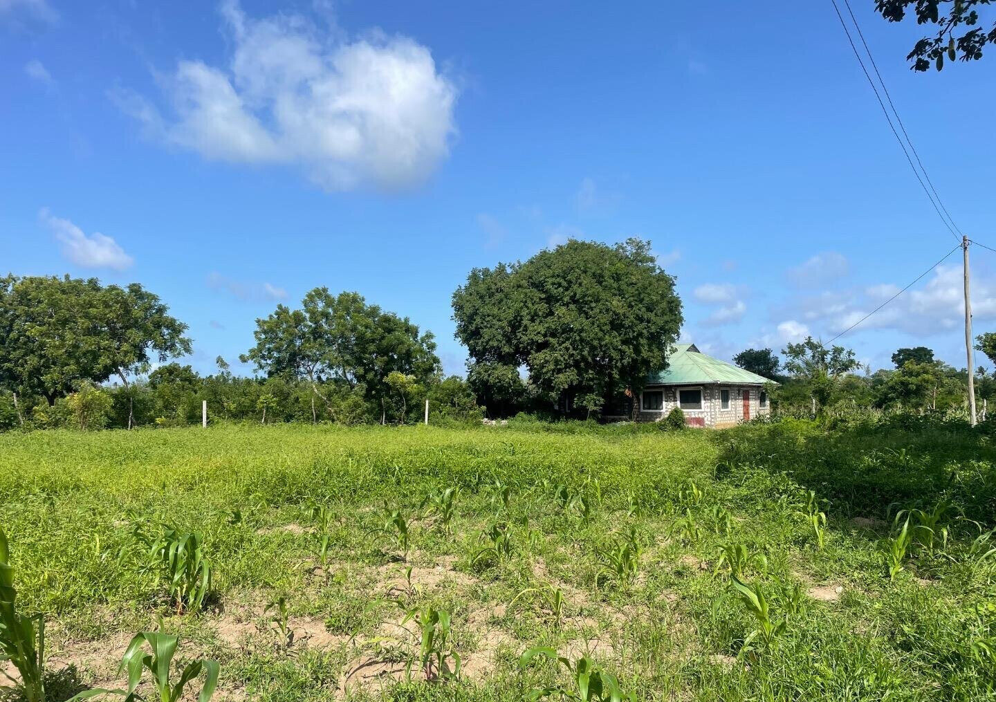 1-Acre Plot with Farmhouse at KSh 8M