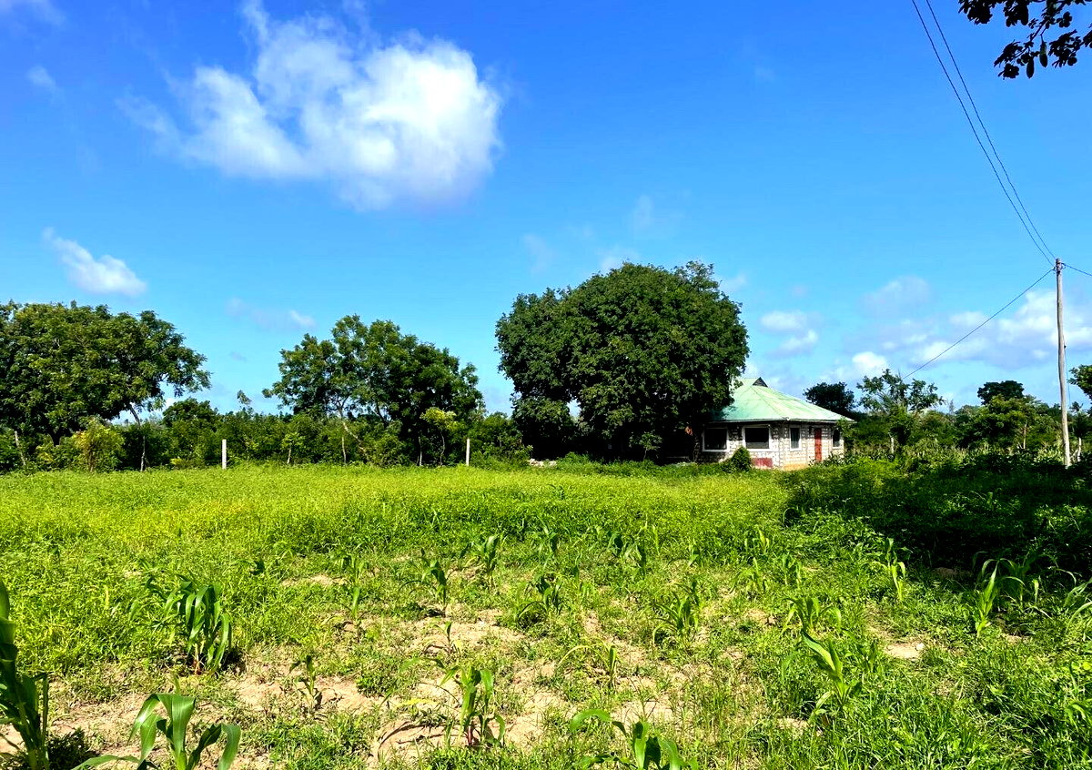 1-Acre Plot with Farmhouse at KSh 8M
