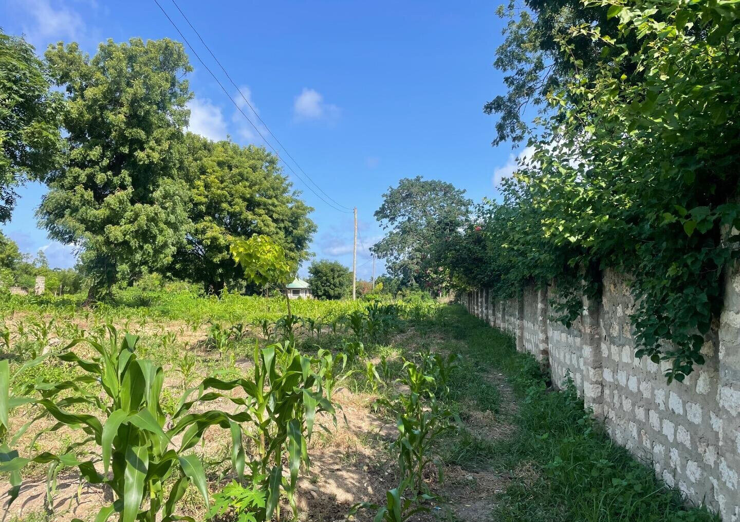 1-Acre Plot with Farmhouse at KSh 8M