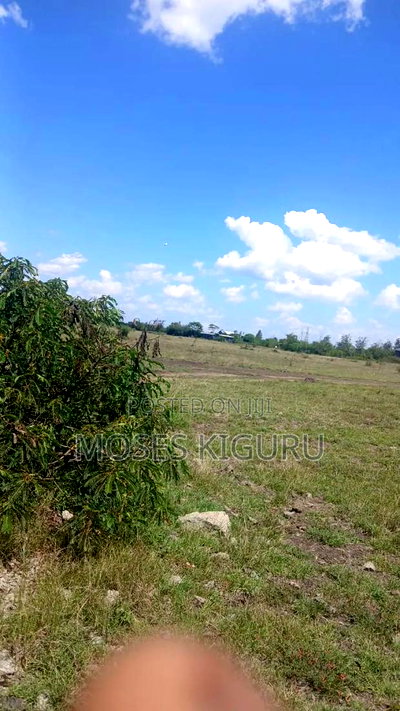 Jujafarm 40x80 Plots. - Image 3