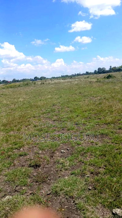 Jujafarm 40x80 Plots. - Image 2