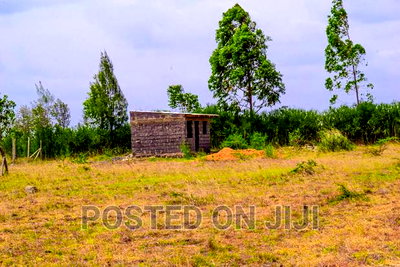 Deposit 100k and Start the Process of Owning This Plot - Image 3